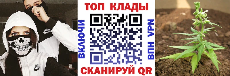 Наркошоп купить ГАШ  СОЛЬ  МЕФ  Марихуана  КОКАИН  Кисловодск